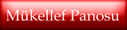 Mükellef Panosu