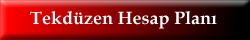 Tekdüzen Hesap Planı